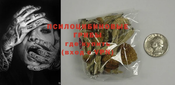 PSILOCYBIN Бугульма