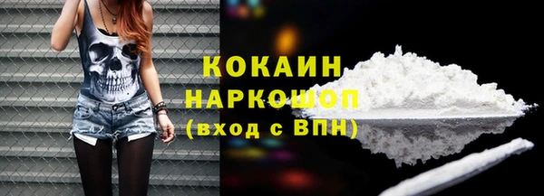 тгк Бородино