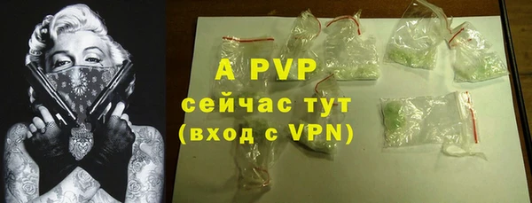 тгк Бородино