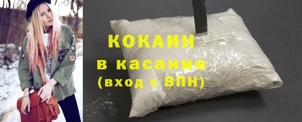 тгк Бородино