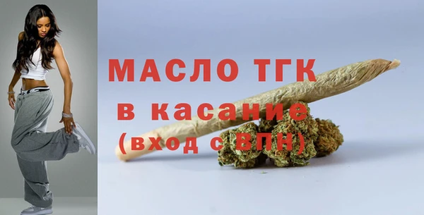 тгк Бородино