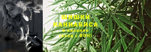 PSILOCYBIN Бугульма