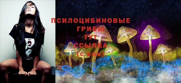 тгк Бородино