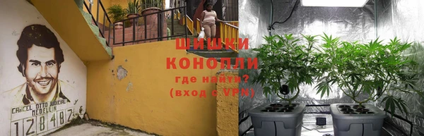 тгк Бородино